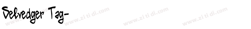 Selvedger Tag字体转换